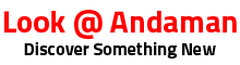 Look at Andaman Logo