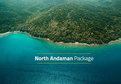 Group Package